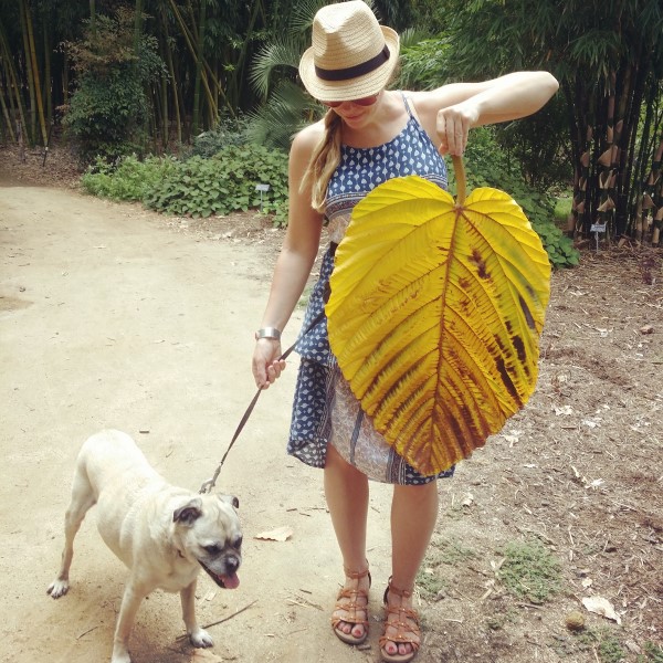 Girl with dog and leaf